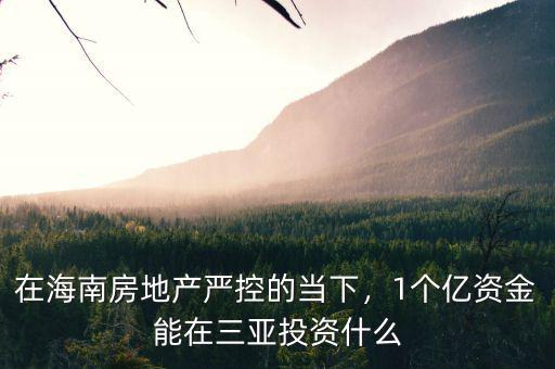 在海南房地產(chǎn)嚴控的當下，1個億資金能在三亞投資什么