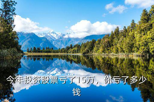 今年投資股票虧了15萬，你虧了多少錢