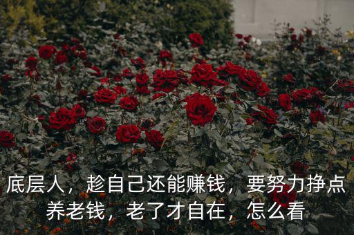 底層人，趁自己還能賺錢，要努力掙點養(yǎng)老錢，老了才自在，怎么看