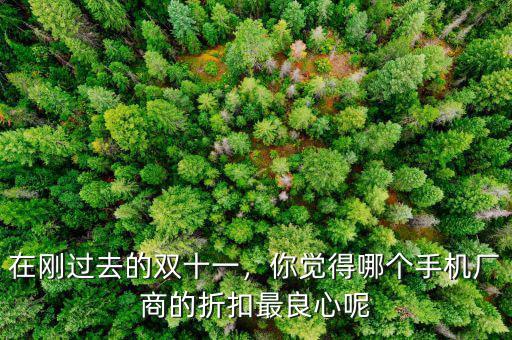 在剛過去的雙十一，你覺得哪個手機廠商的折扣最良心呢