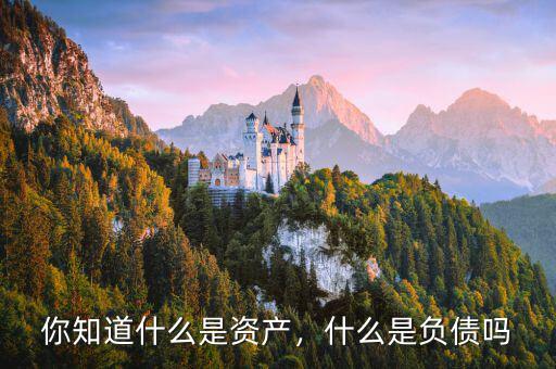 你知道什么是資產(chǎn)，什么是負(fù)債嗎