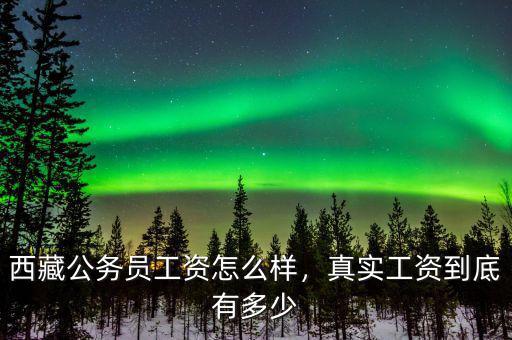 西藏公務(wù)員工資怎么樣，真實(shí)工資到底有多少
