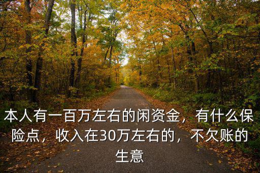 本人有一百萬左右的閑資金，有什么保險點，收入在30萬左右的，不欠賬的生意