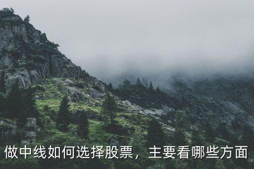 怎么做中線(xiàn)股票,做中線(xiàn)如何選擇股票