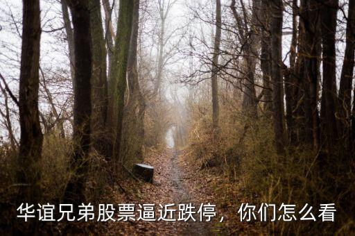 華誼兄弟股票逼近跌停，你們怎么看