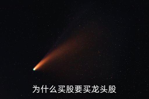 為什么買(mǎi)股要買(mǎi)龍頭股