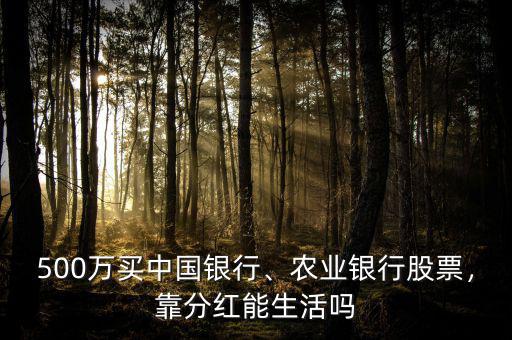 500萬買中國銀行、農(nóng)業(yè)銀行股票，靠分紅能生活嗎