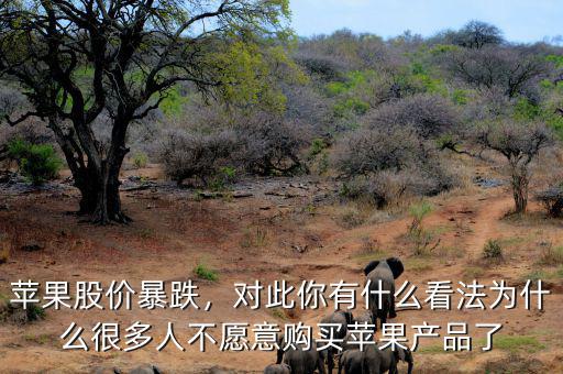 蘋果股價(jià)暴跌，對(duì)此你有什么看法為什么很多人不愿意購(gòu)買蘋果產(chǎn)品了