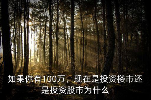 如果你有100萬(wàn)，現(xiàn)在是投資樓市還是投資股市為什么