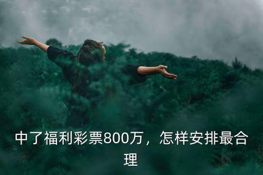 中了福利彩票800萬(wàn)，怎樣安排最合理