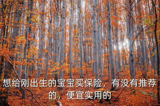 想給剛出生的寶寶買保險，有沒有推薦的，便宜實用的
