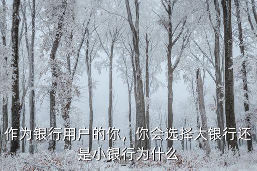 作為銀行用戶的你，你會選擇大銀行還是小銀行為什么
