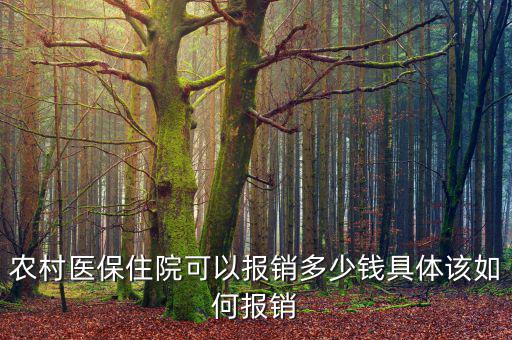 農(nóng)醫(yī)保現(xiàn)在能報銷多少,具體該如何報銷