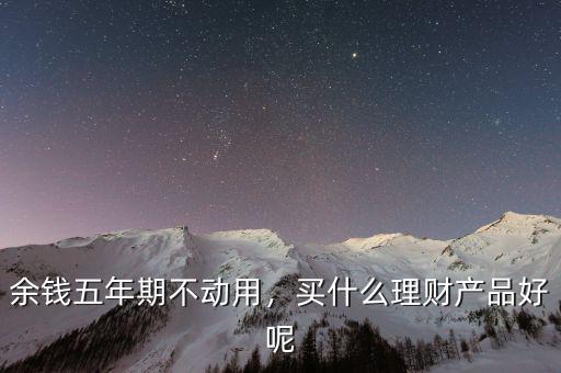 余錢五年期不動用，買什么理財(cái)產(chǎn)品好呢