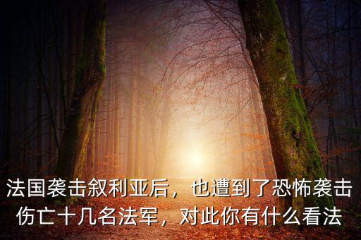 法國(guó)襲擊敘利亞后，也遭到了恐怖襲擊傷亡十幾名法軍，對(duì)此你有什么看法