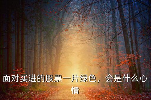 面對(duì)買(mǎi)進(jìn)的股票一片綠色，會(huì)是什么心情