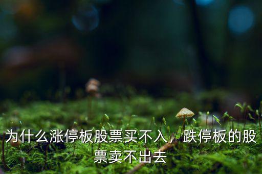 為什么漲停板股票買不入，跌停板的股票賣不出去