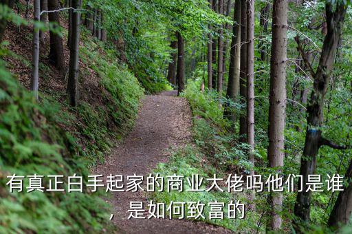 有真正白手起家的商業(yè)大佬嗎他們是誰，是如何致富的