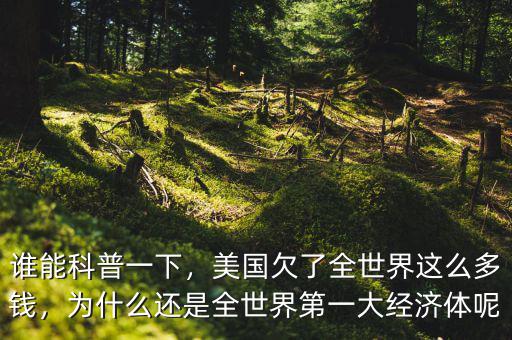 誰(shuí)能科普一下，美國(guó)欠了全世界這么多錢(qián)，為什么還是全世界第一大經(jīng)濟(jì)體呢