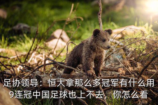足協(xié)領(lǐng)導(dǎo)：恒大拿那么多冠軍有什么用9連冠中國足球也上不去，你怎么看
