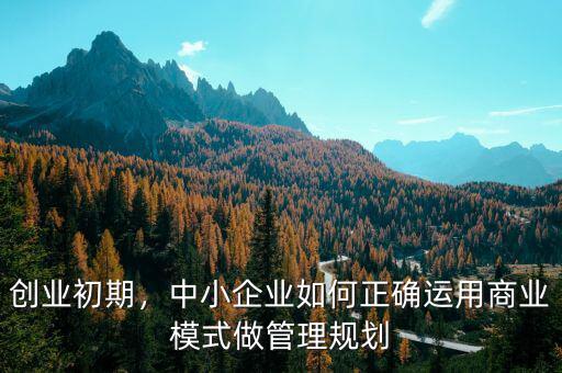 創(chuàng)業(yè)初期，中小企業(yè)如何正確運(yùn)用商業(yè)模式做管理規(guī)劃