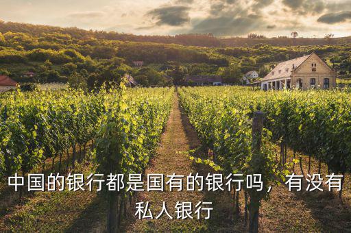 中國(guó)的銀行都是國(guó)有的銀行嗎，有沒(méi)有私人銀行