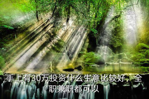 手上有30萬投資什么生意比較好，全職兼職都可以