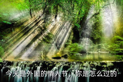 今天是外國(guó)的情人節(jié)，你是怎么過(guò)的