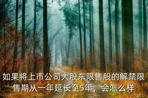如果將上市公司大股東限售股的解禁限售期從一年延長(zhǎng)至5年，會(huì)怎么樣