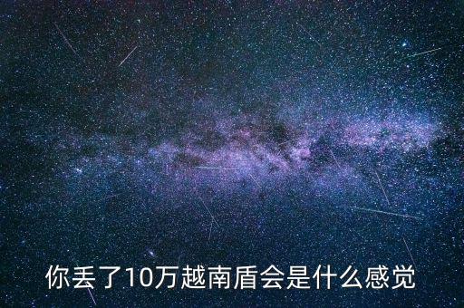 10萬(wàn)人民幣是多少越南盾,10萬(wàn)人民幣在越南多少錢(qián)