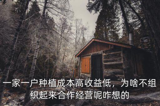 一家一戶種植成本高收益低，為啥不組織起來合作經營呢咋想的