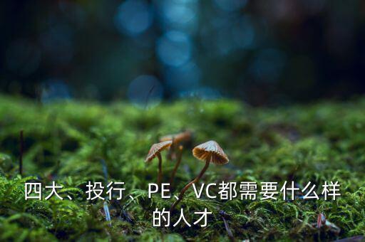 四大、投行、PE、VC都需要什么樣的人才