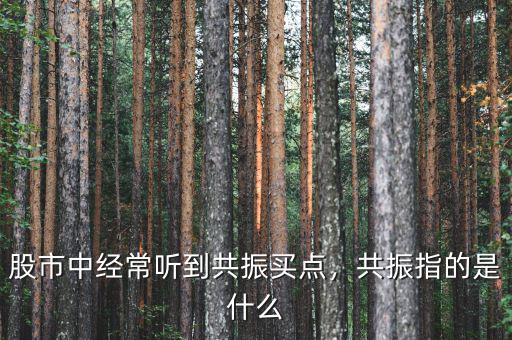 股市中經(jīng)常聽到共振買點，共振指的是什么