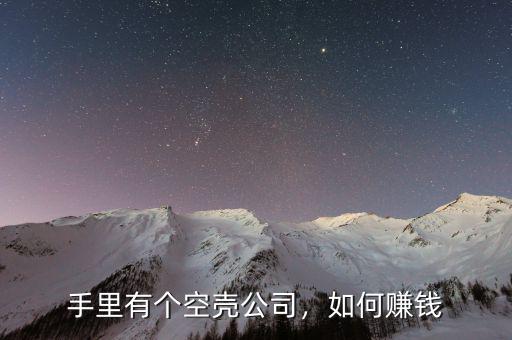 手里有個(gè)空殼公司，如何賺錢