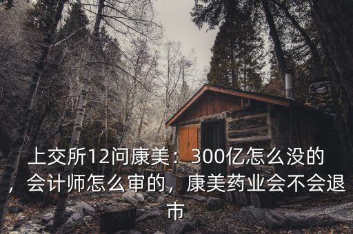 上交所12問康美：300億怎么沒的，會計師怎么審的，康美藥業(yè)會不會退市