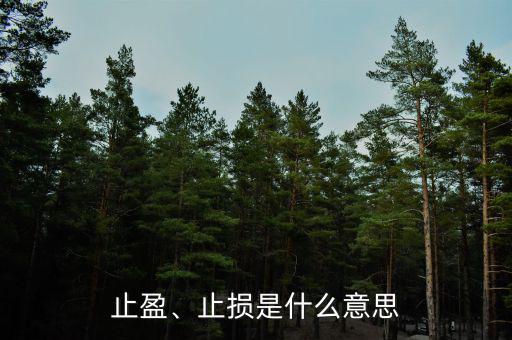 止盈、止損是什么意思