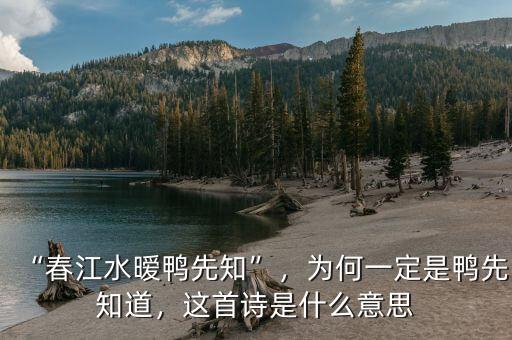 “春江水曖鴨先知”，為何一定是鴨先知道，這首詩是什么意思