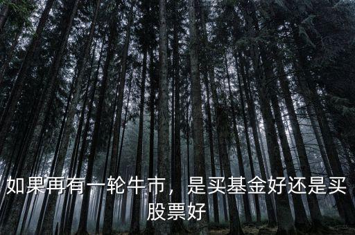 如果再有一輪牛市，是買(mǎi)基金好還是買(mǎi)股票好