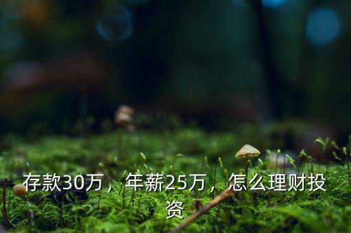 存款30萬，年薪25萬，怎么理財投資