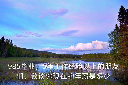 985畢業(yè)，5年工作經(jīng)驗(yàn)以上的朋友們，談?wù)勀悻F(xiàn)在的年薪是多少