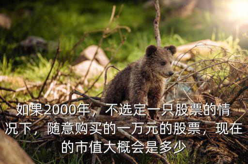 如果2000年，不選定一只股票的情況下，隨意購買的一萬元的股票，現(xiàn)在的市值大概會是多少