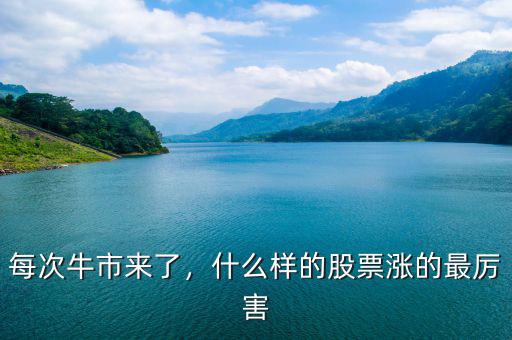 每次牛市來了，什么樣的股票漲的最厲害