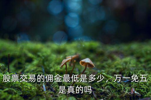 股票交易的傭金最低是多少，萬(wàn)一免五是真的嗎