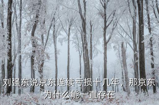 劉強(qiáng)東說京東連續(xù)虧損十幾年，那京東為什么能一直存在