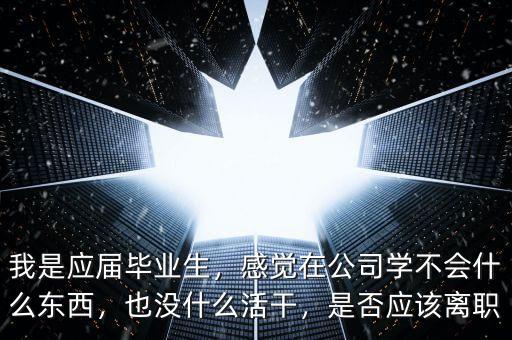我是應(yīng)屆畢業(yè)生，感覺在公司學(xué)不會(huì)什么東西，也沒什么活干，是否應(yīng)該離職
