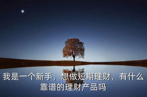 我是一個新手，想做短期理財，有什么靠譜的理財產(chǎn)品嗎