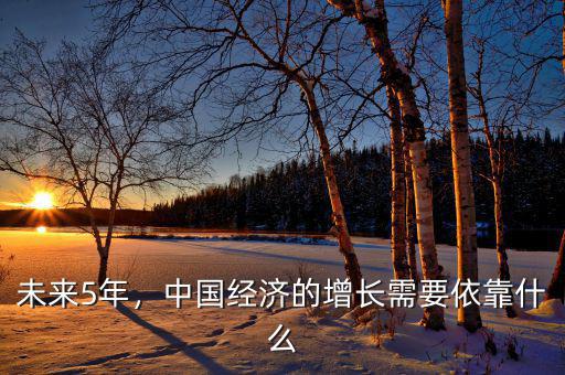 未來(lái)5年，中國(guó)經(jīng)濟(jì)的增長(zhǎng)需要依靠什么