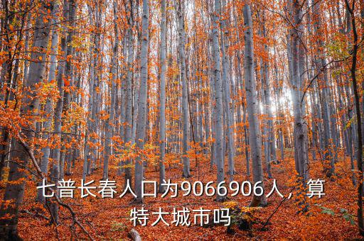 七普長(zhǎng)春人口為9066906人，算特大城市嗎