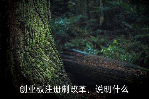 創(chuàng)業(yè)板注冊(cè)制改革，說(shuō)明什么