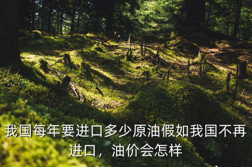 我國每年要進口多少原油假如我國不再進口，油價會怎樣